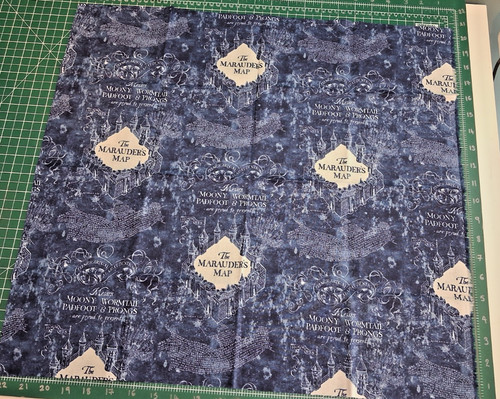 Harry potter fabric - potter,