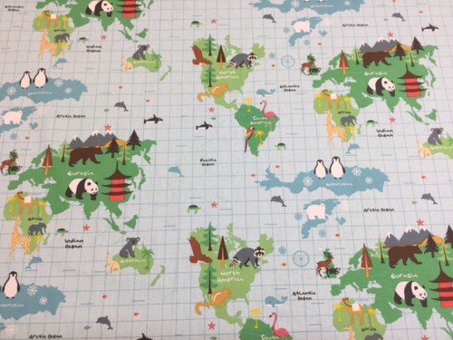 Fryetts world map children - fryetts,
