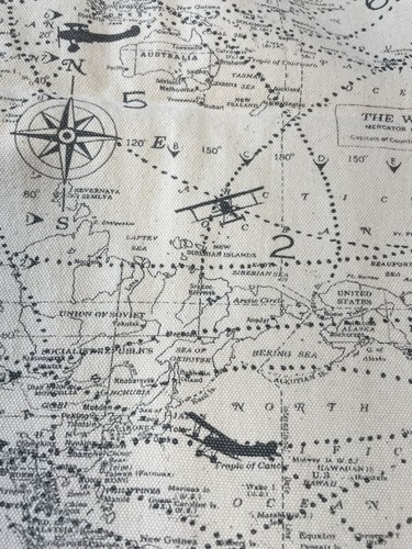 Aviation world map fabric duck - aviation,